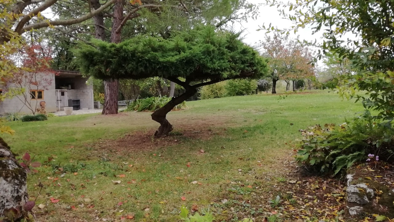 Photo of Outdoor in Montayral