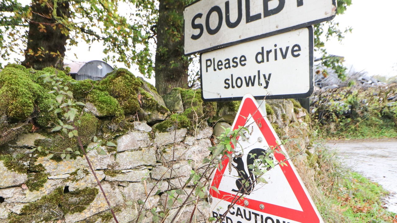 Photo of Others in Soulby