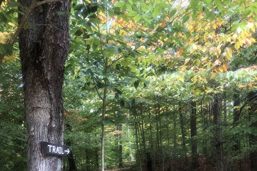 Photo of Outdoor in Cold Brook