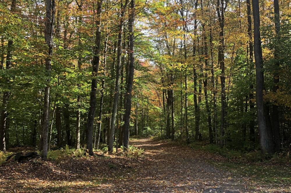 Photo of Outdoor in Cold Brook