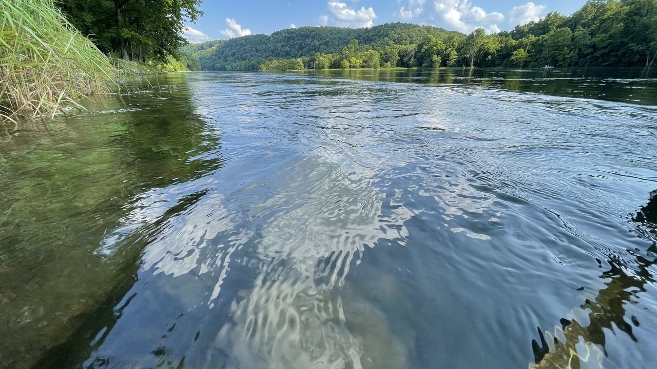Photo of Others in Bull Shoals