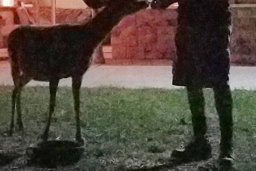 Photo of Outdoor in Hatch