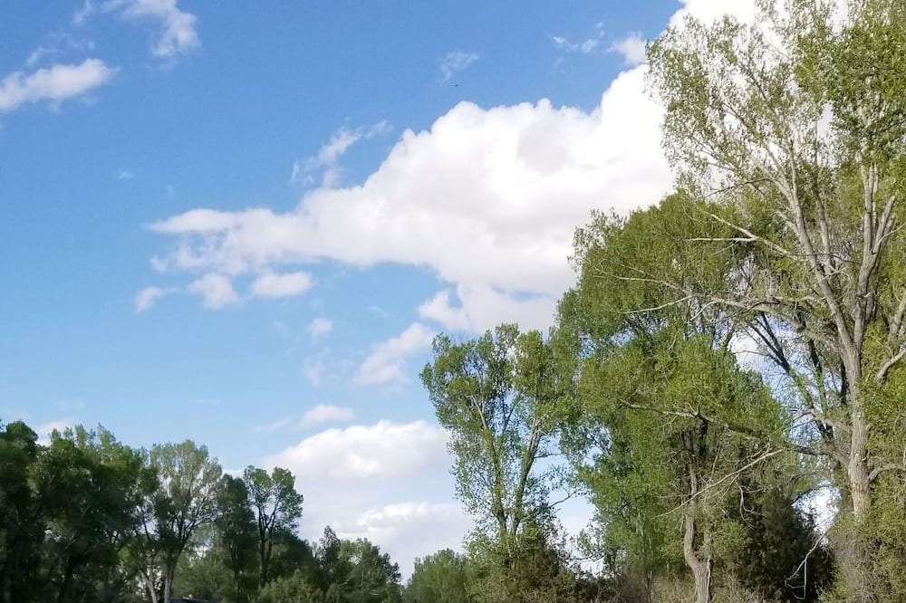 Photo of Outdoor in Hatch