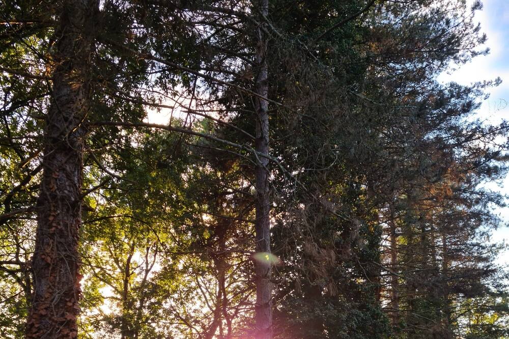 Photo of Outdoor in Tournay