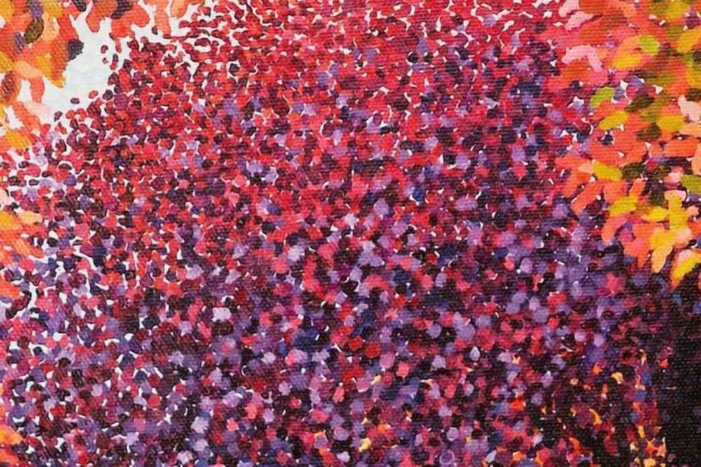 Photo of Others in Village