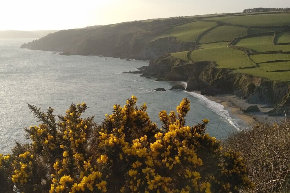 Photo of Others in Trethurgy