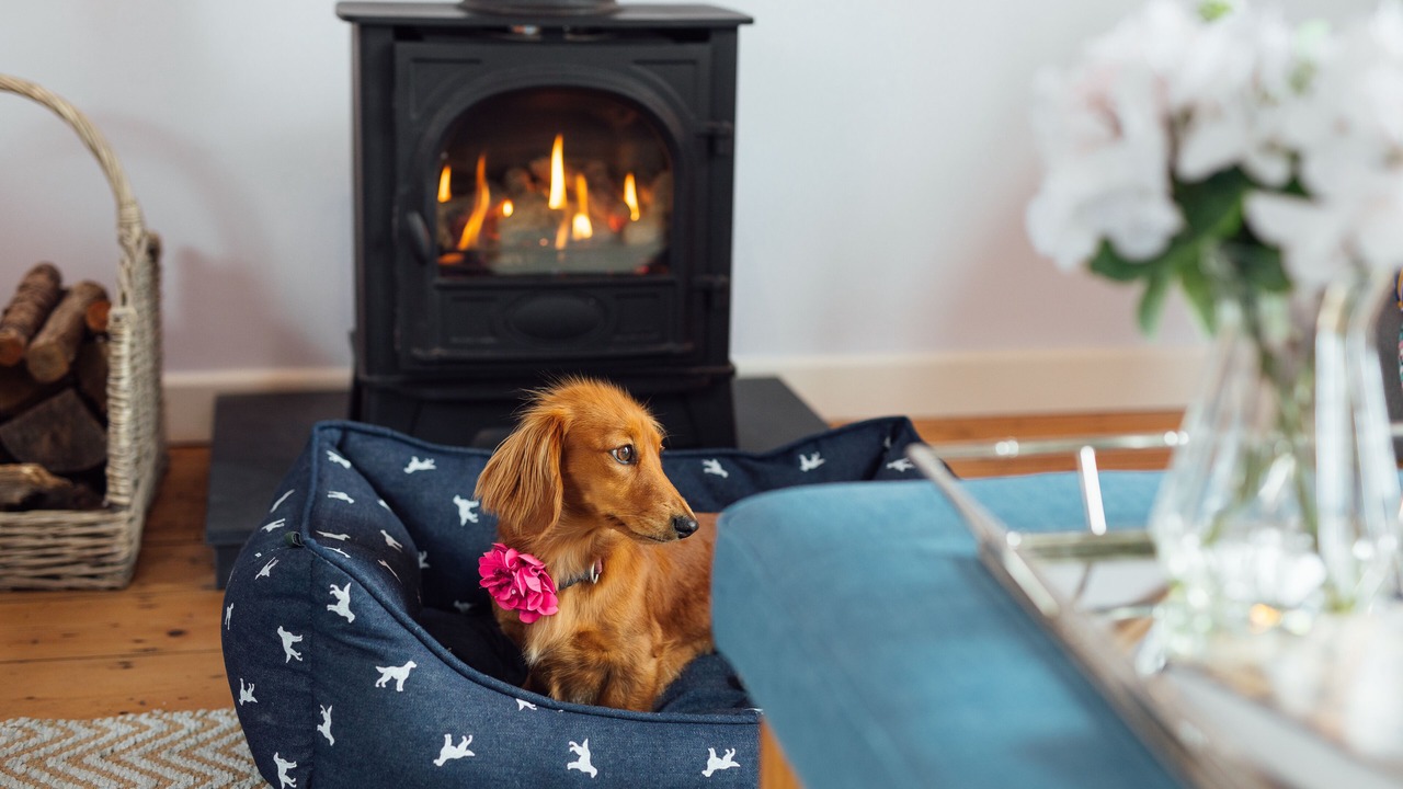 Photo of Others in Milford Haven