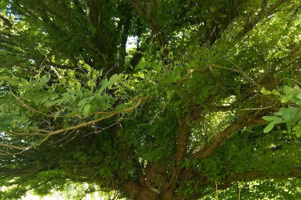 Photo of Outdoor in Bussiere-Dunoise