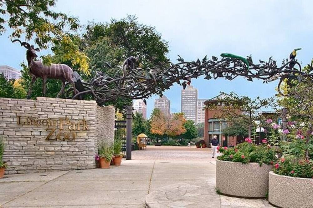 Photo of Others in Sheffield and DePaul