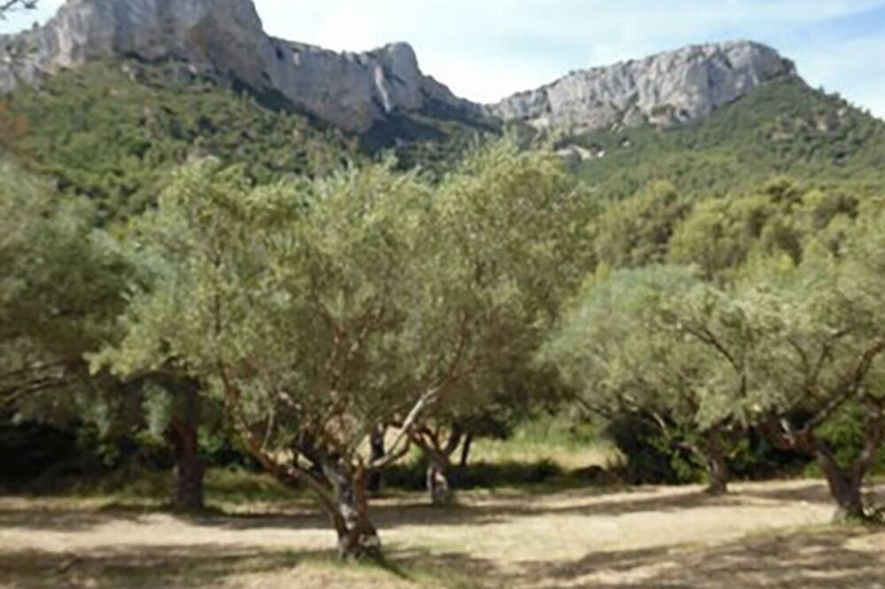 Photo of Others in Robion