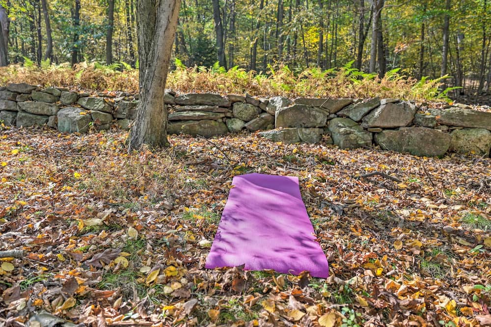 Photo of Outdoor in Brockton