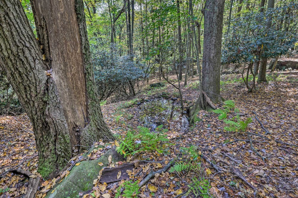 Photo of Others in Brockton