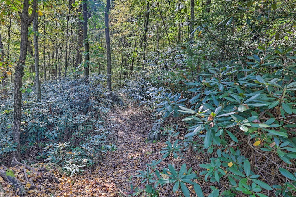 Photo of Others in Brockton