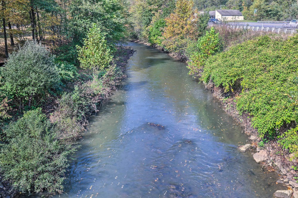 Photo of Others in Brockton