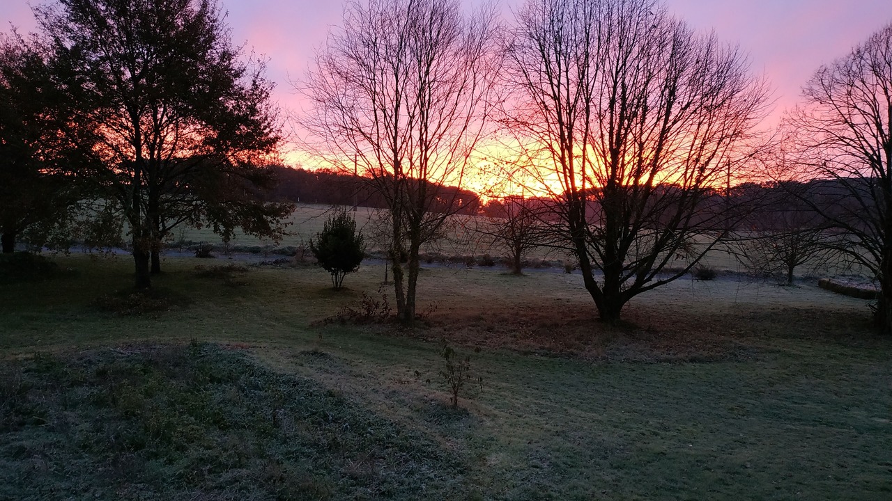 Photo of Outdoor in Saint-Martin-sur-Oust