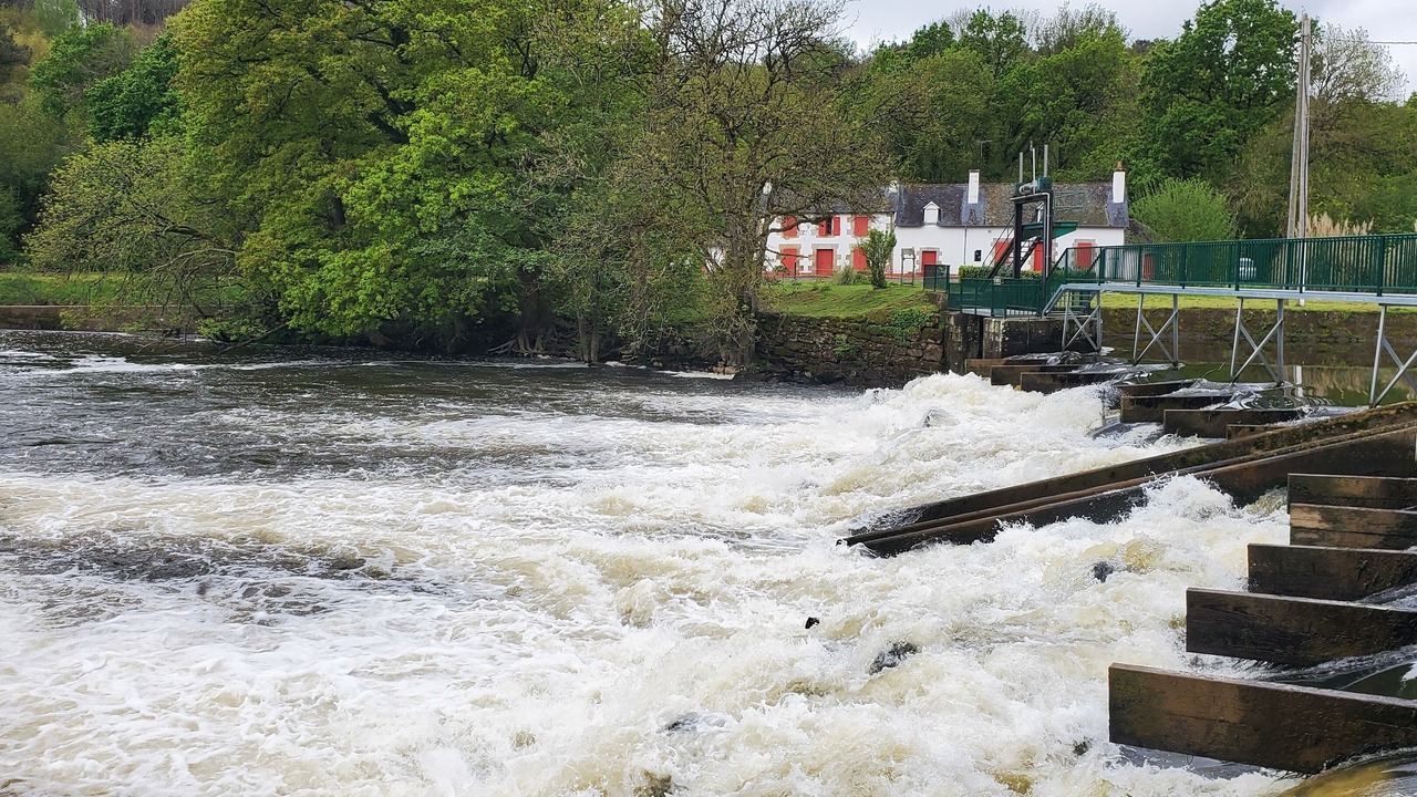 Photo of Others in Saint-Martin-sur-Oust