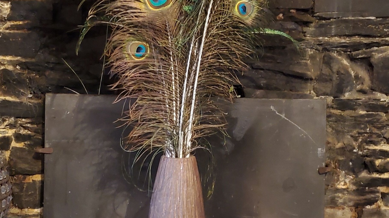 Photo of Others in Saint-Martin-sur-Oust