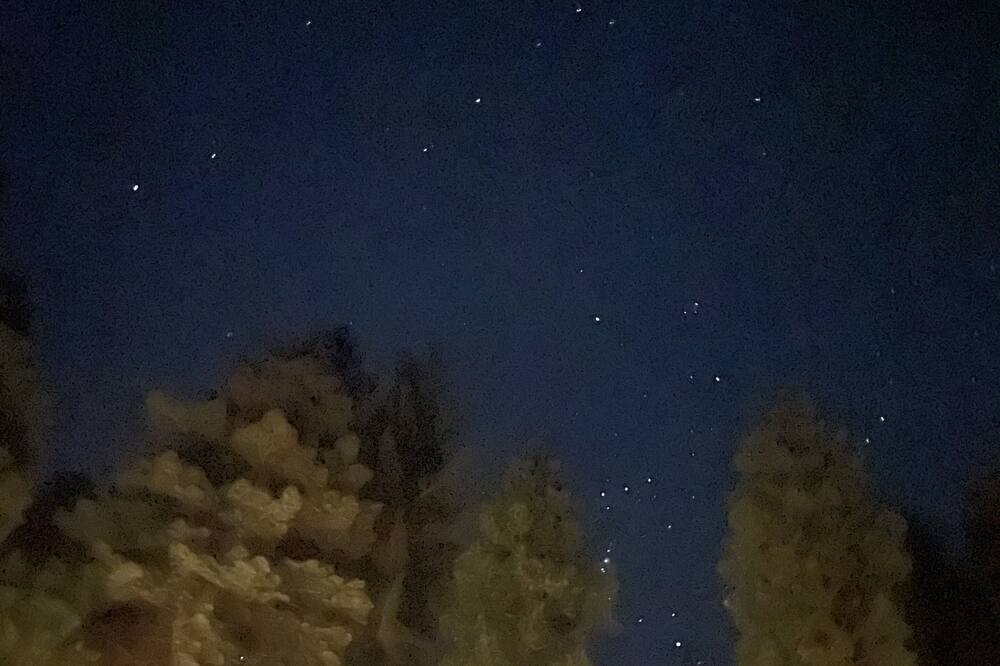 Photo of Others in Camp Connell