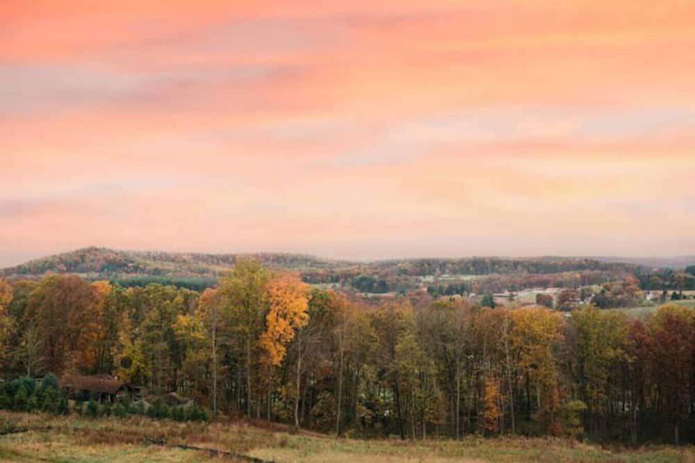 Photo of Others in Farmington