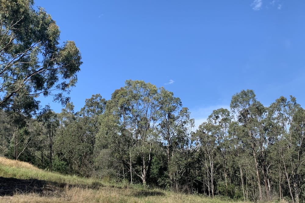 Photo of Outdoor in Rosebrook