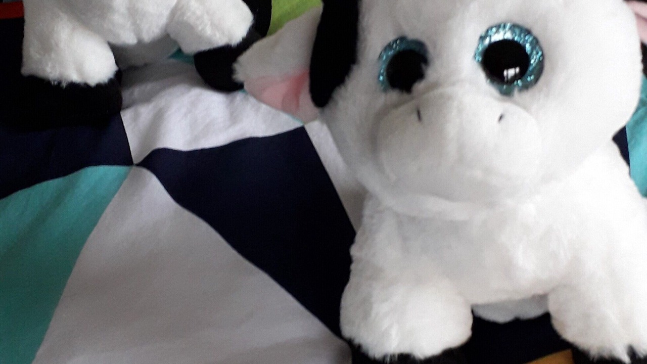 Photo of Others in Turakina