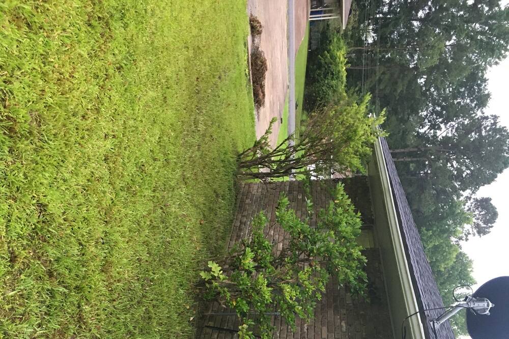 Photo of Others in Haynesville