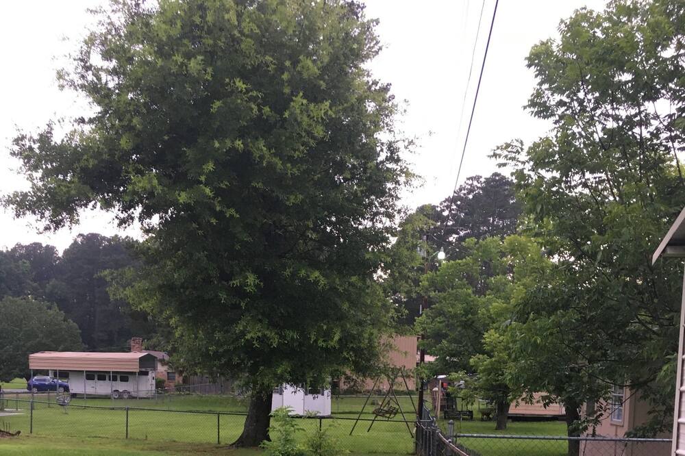 Photo of Outdoor in Haynesville