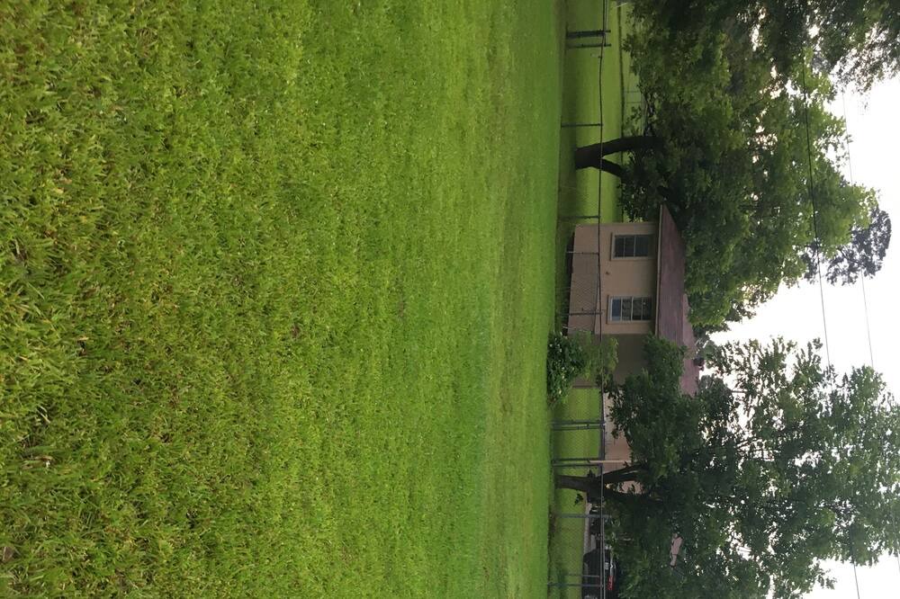 Photo of Outdoor in Haynesville