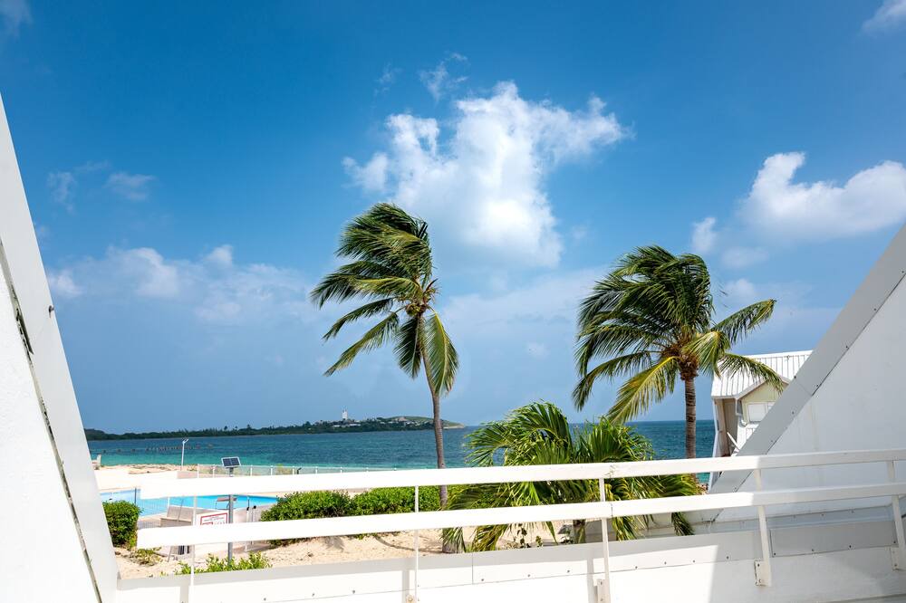 Photo of Others in Nettle Bay