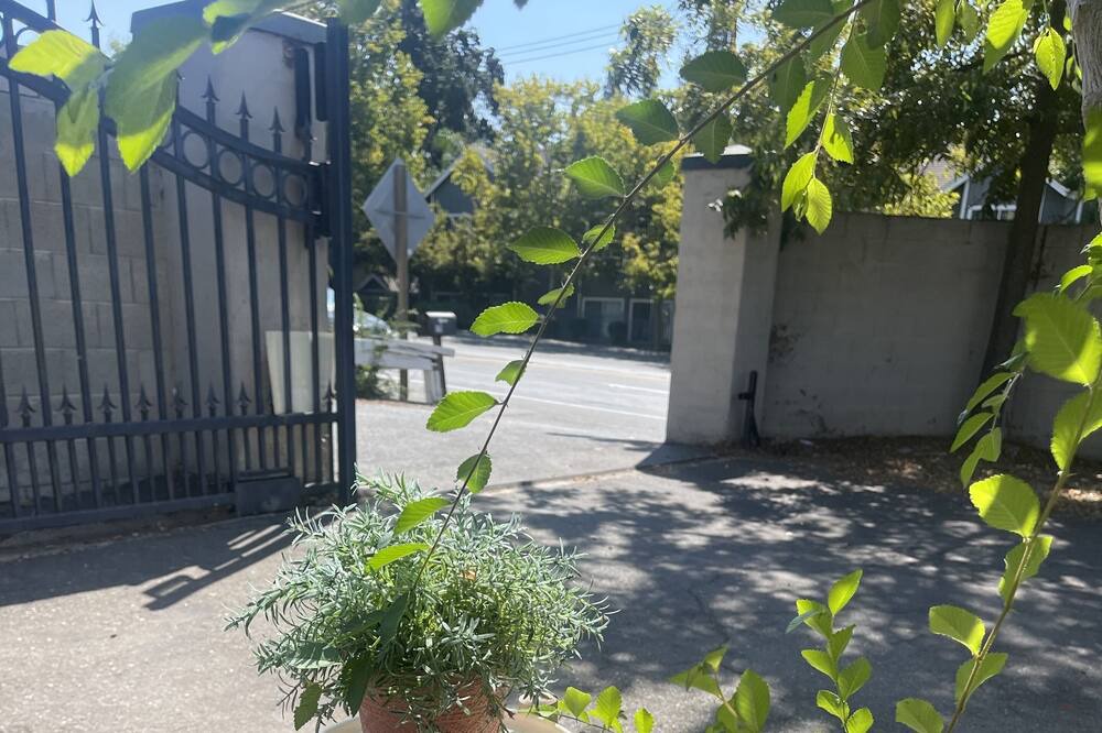 Photo of Outdoor in Carmichael