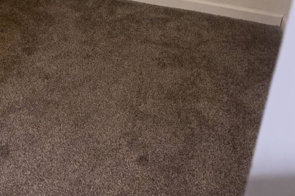 Photo of Others in Carmichael