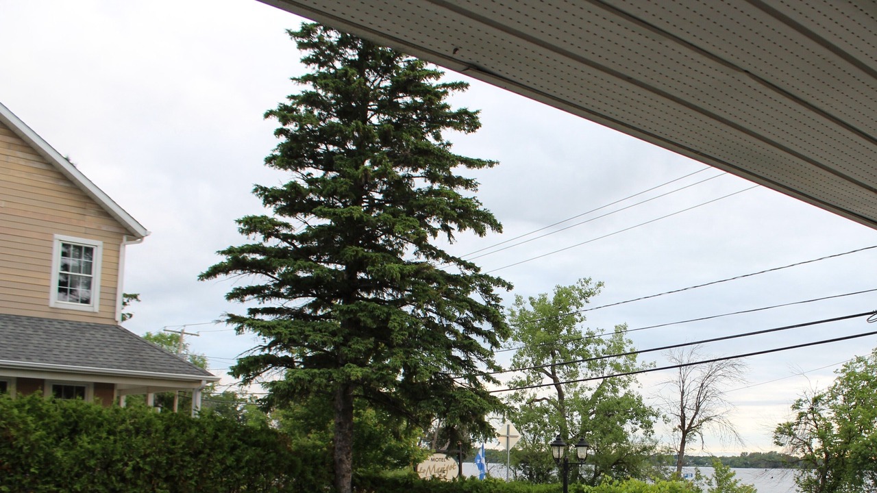 Photo of Outdoor in Vaudreuil