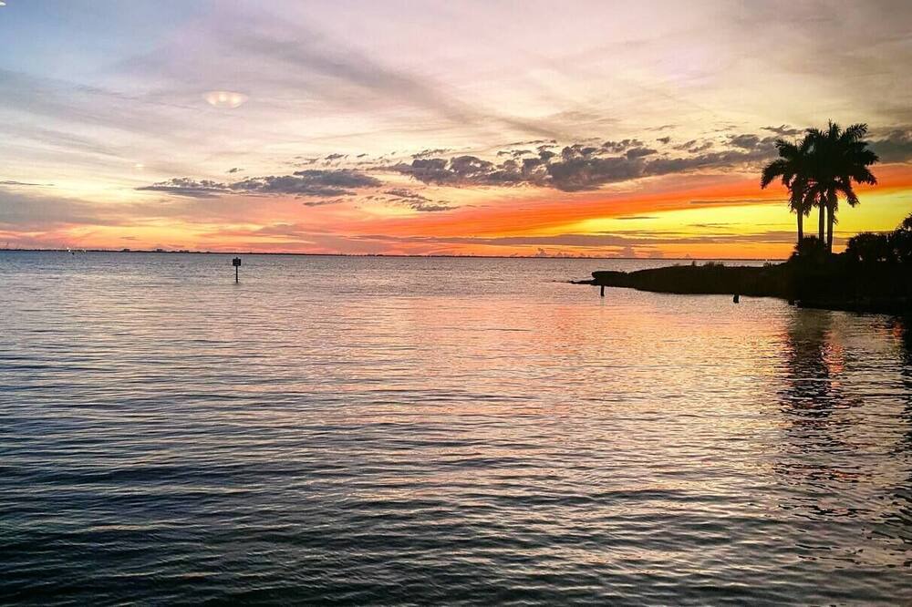 Photo of Others in Lake Valencia