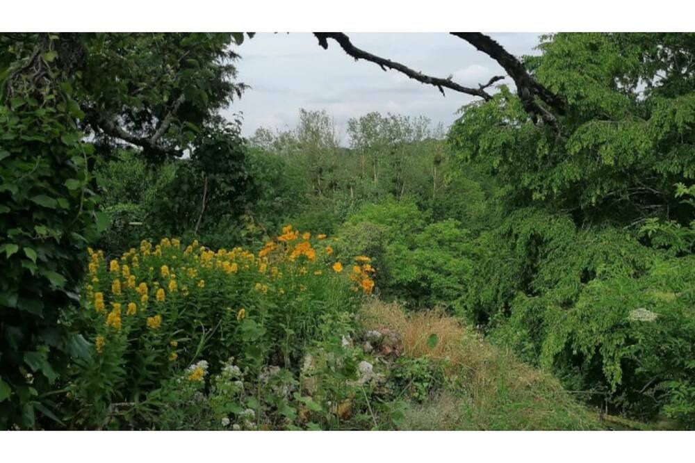 Photo of Outdoor in Nesle-la-Reposte