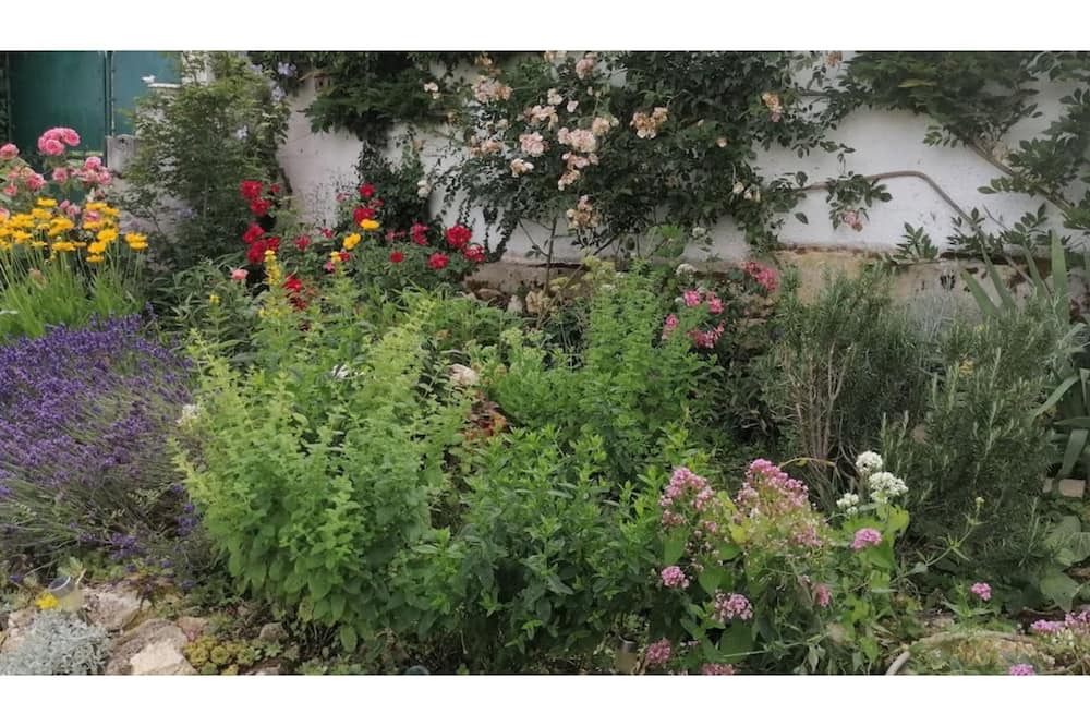 Photo of Outdoor in Nesle-la-Reposte