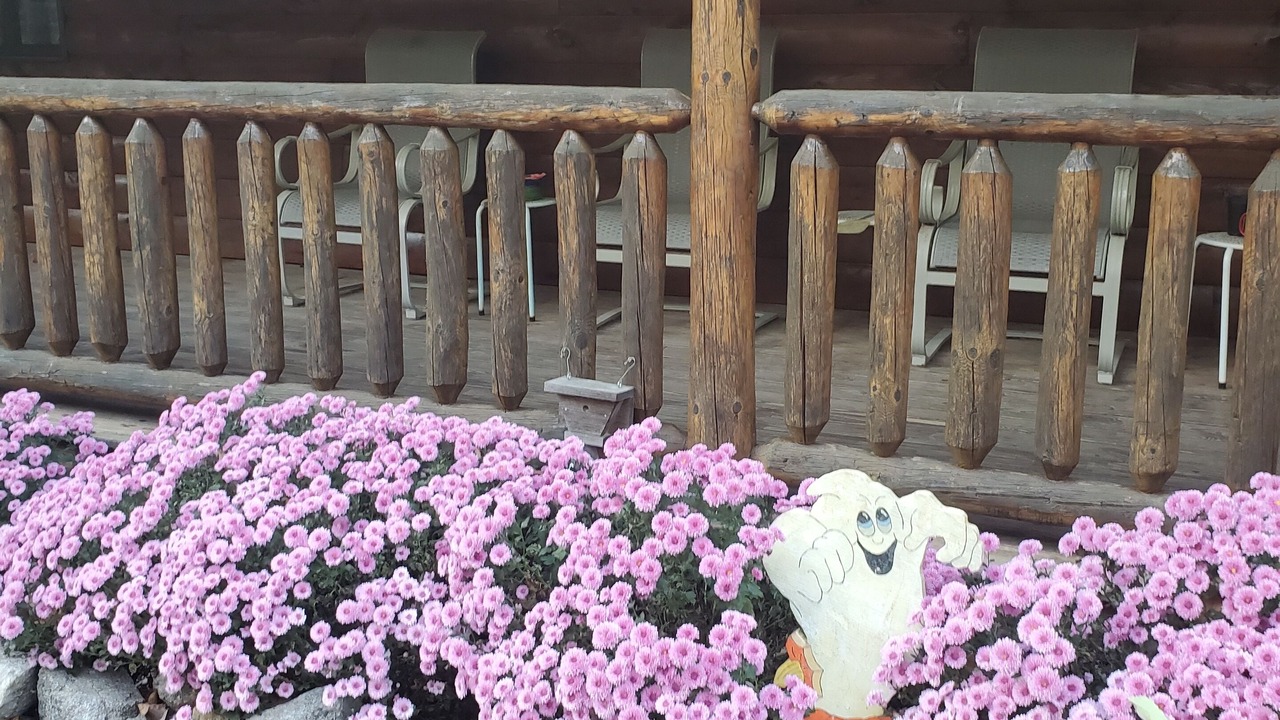 Photo of Outdoor in Newport