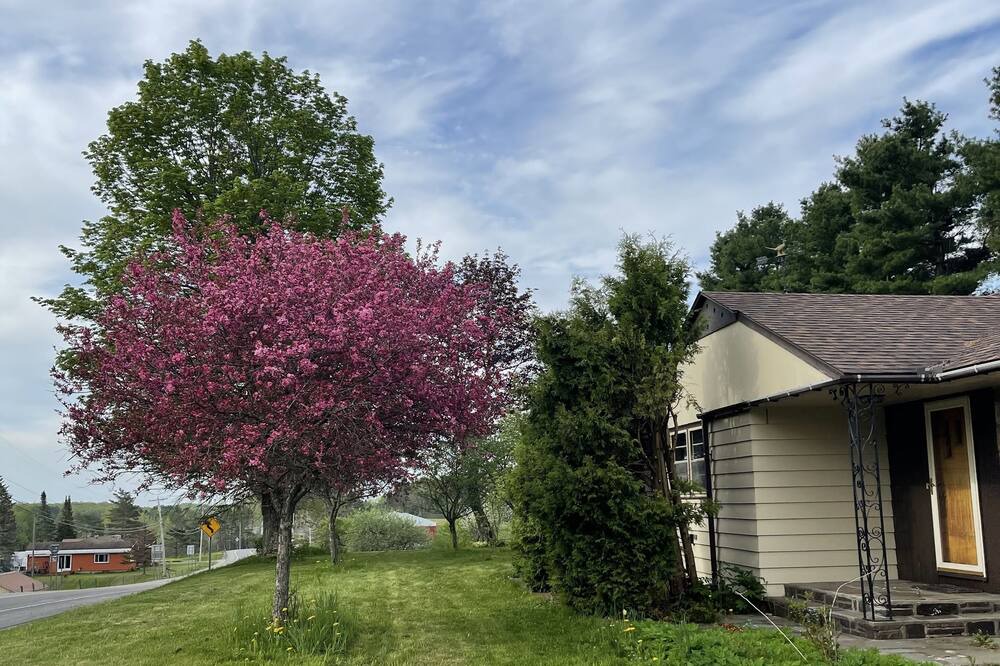 Photo of Outdoor in Lewis County