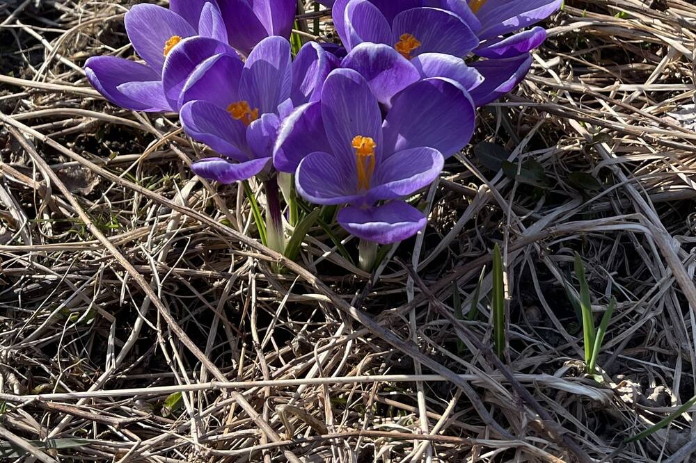 Photo of Outdoor in Lewis County