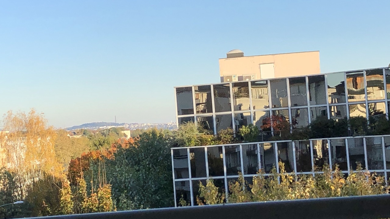 Photo of Others in Saint-Germain-en-Laye