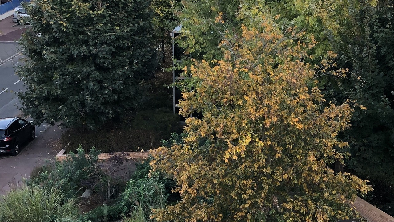 Photo of Outdoor in Saint-Germain-en-Laye