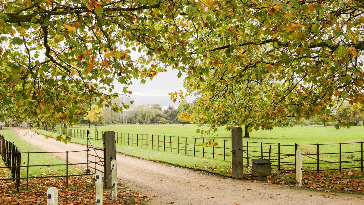 Photo of Others in Chippenham