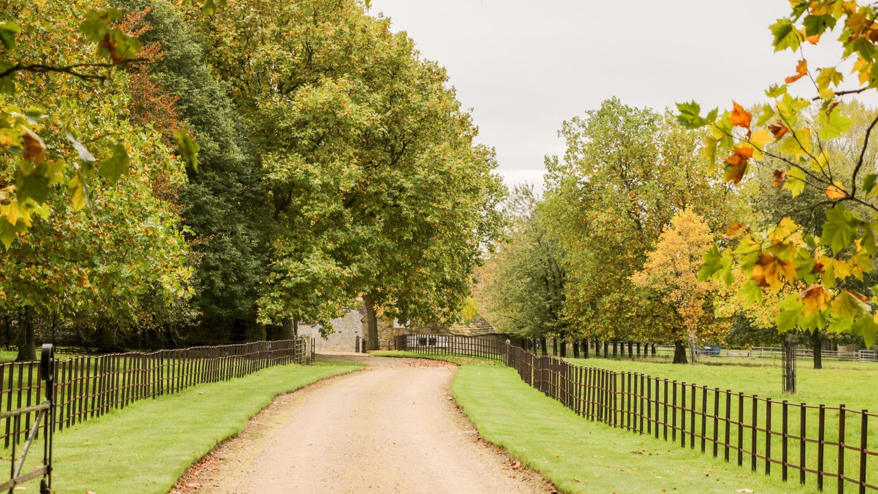 Photo of Others in Chippenham