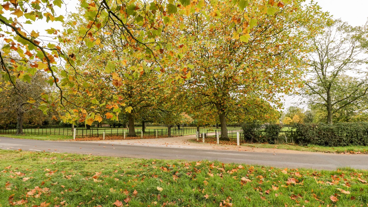 Photo of Others in Chippenham