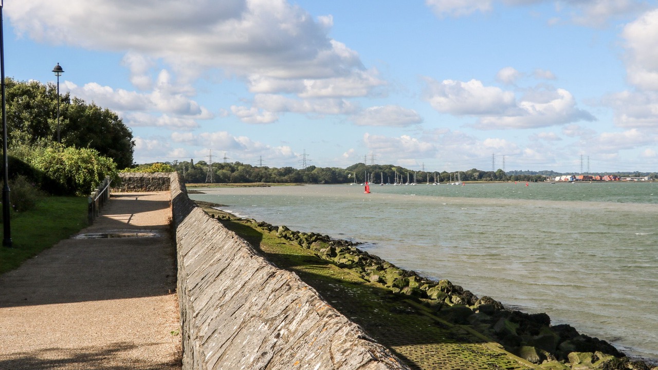 Photo of Others in New Forest District