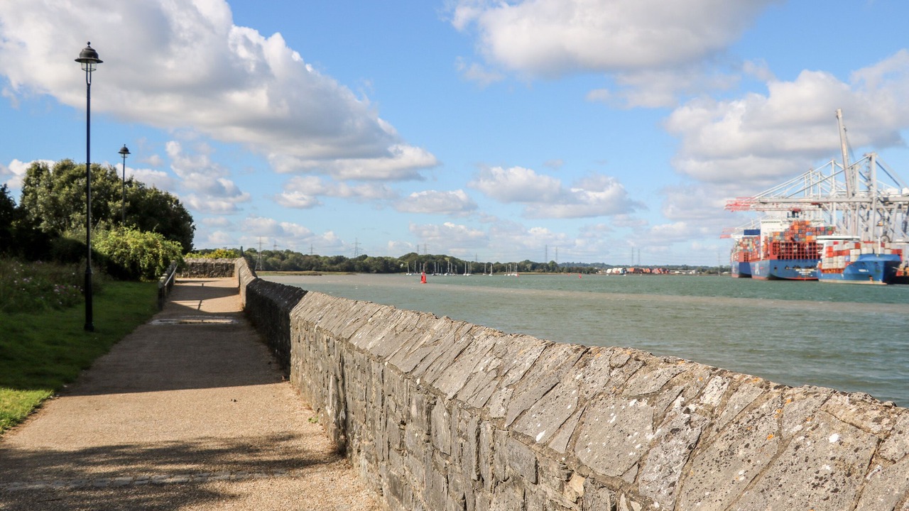 Photo of Others in New Forest District