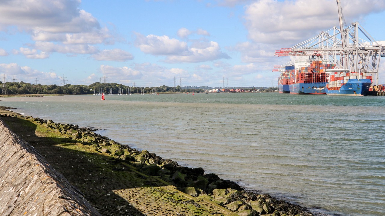 Photo of Others in New Forest District