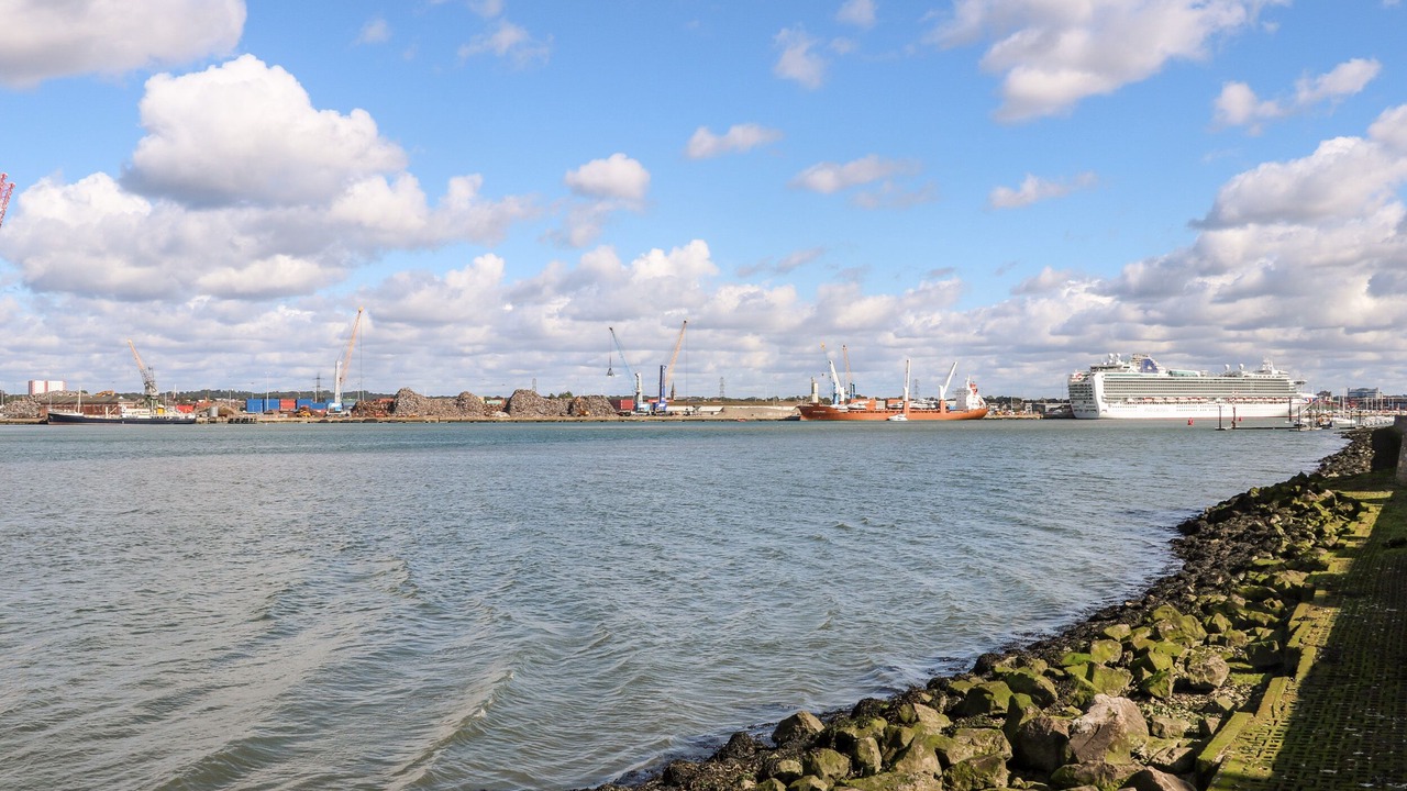 Photo of Others in New Forest District