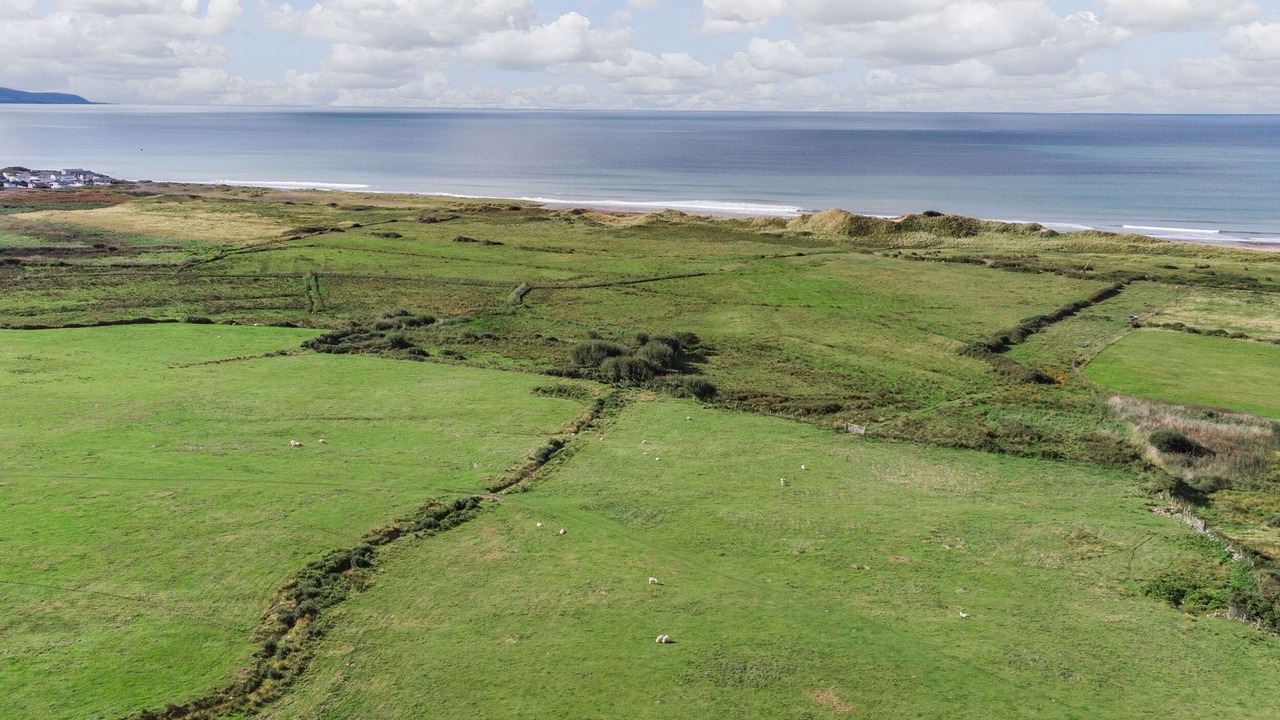 Photo of Others in Dyffryn Ardudwy