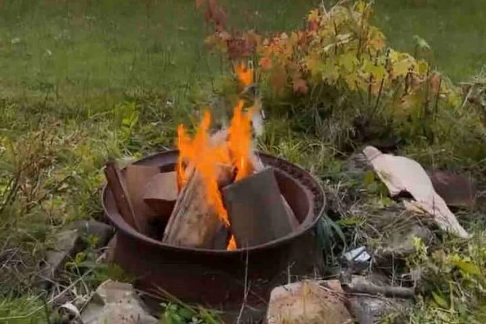 Photo of Outdoor in Sebright
