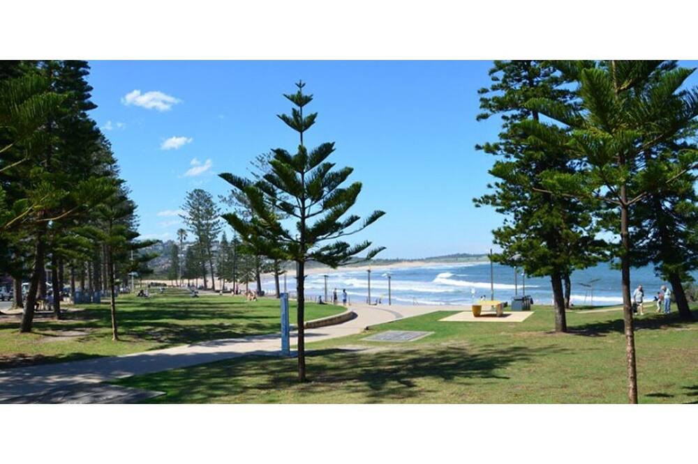 Photo of Others in Dee Why